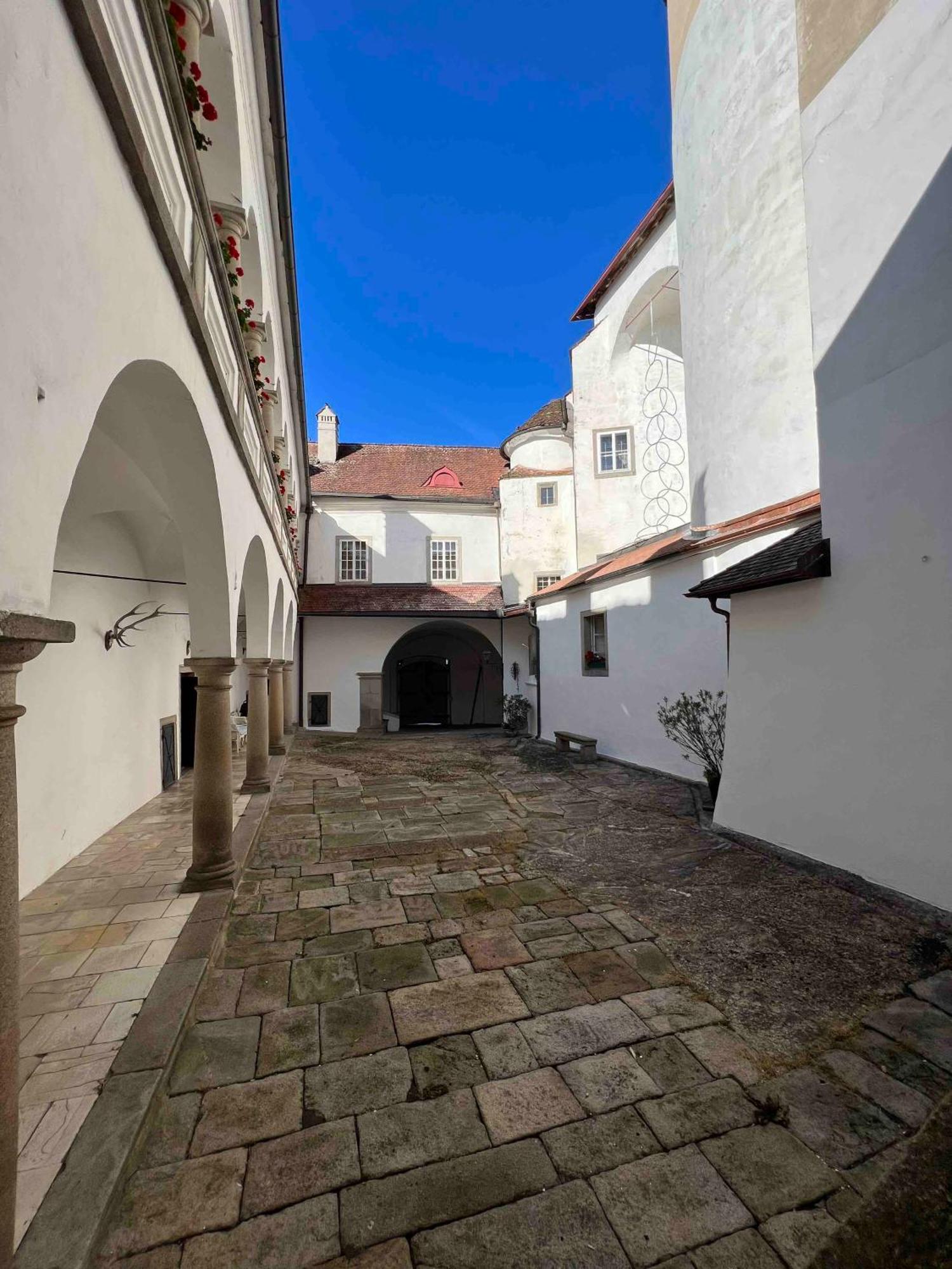 Charming Castle In Austria Villa Schwertberg Ngoại thất bức ảnh